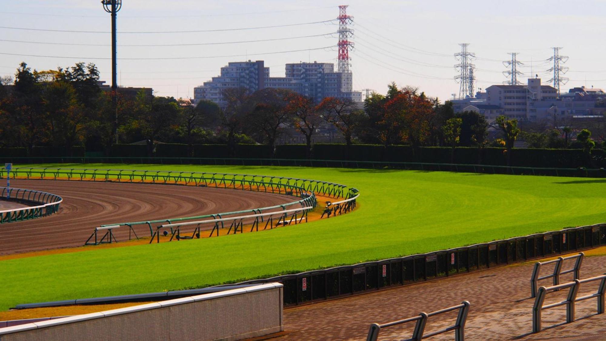 Toyoko Inn Nishi Funabashi Baraki Inter Итикава Экстерьер фото